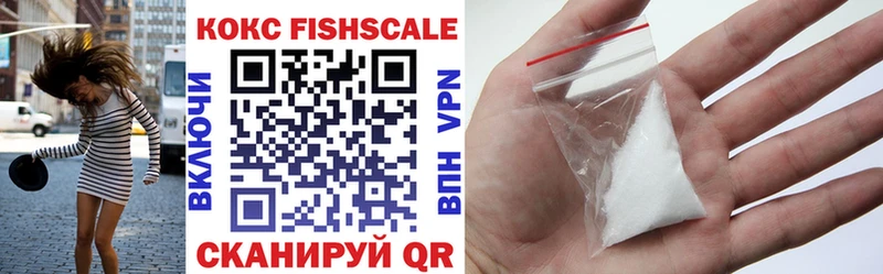 COCAIN Fish Scale магазин продажи Николаевск