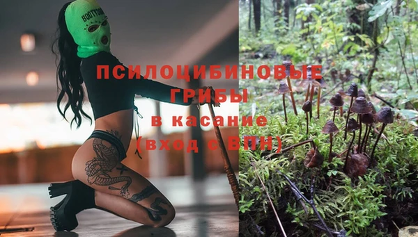 метадон Арсеньев