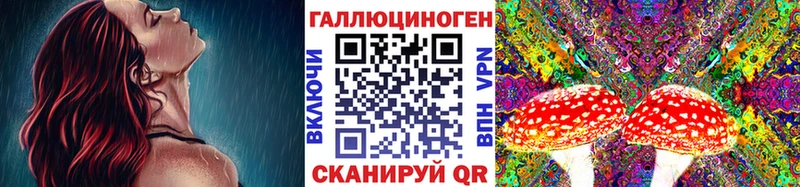 закладка  Николаевск  Псилоцибиновые грибы мухоморы 